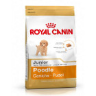 royal-canin-caniche-junior