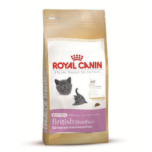 royal-canin-kitten-british-shorthair