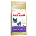 royal-canin-british-shorthair-34