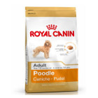 royal-canin-caniche-adult