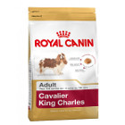royal-canin-cavalier-king-charles-adult