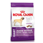 royal-canin-giant-junior-active