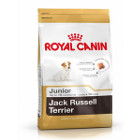 royal-canin-jack-russel-junior