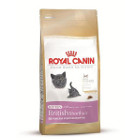 royal-canin-kitten-british-shorthair