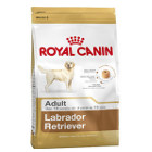 royal-canin-labrador-adult