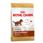 royal-canin-teckel-junior
